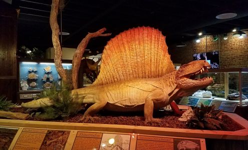 The Whiteside Museum of Natural History Seymour