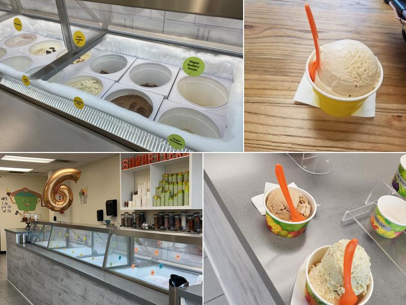 Sorbetiere Homemade Ice Cream and Sorbet