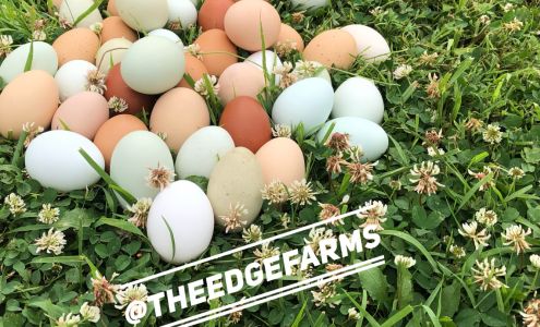 The Edge Farms Chester Springs