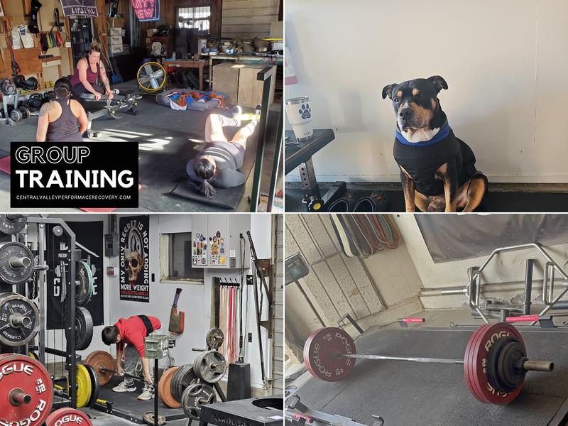 Central Valley Performance and Recovery