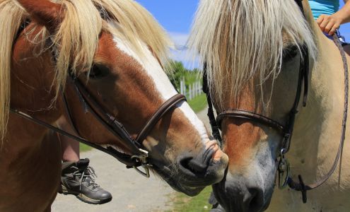 Kimberly Farms North Bennington