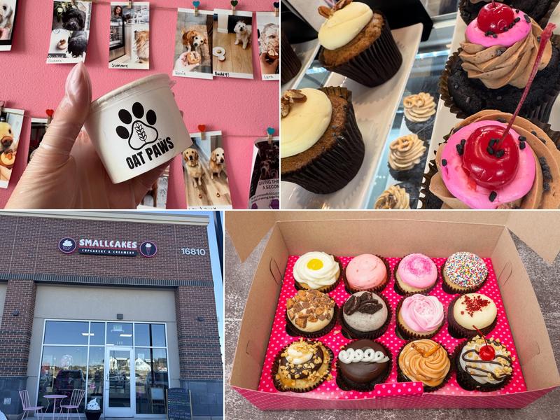 Smallcakes Cupcakery & Creamery