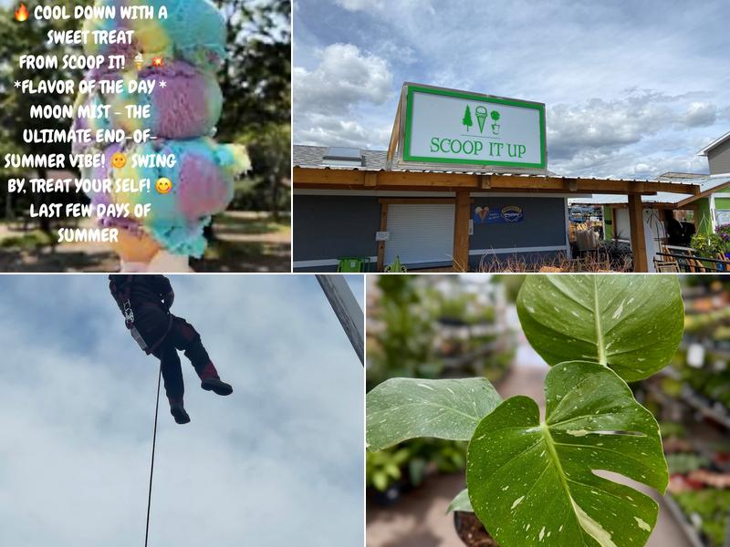 Scoop It Up Eats & Sweet Treats