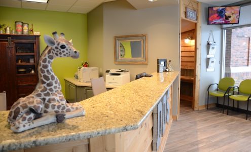 Camp Smile Pediatric Dentistry