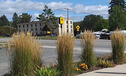 Maple Marketplace Huntsville