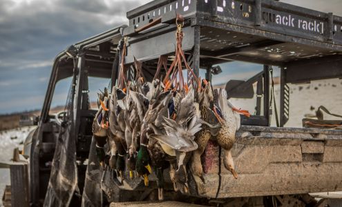 Commander's Corner Guide Service Wilmot