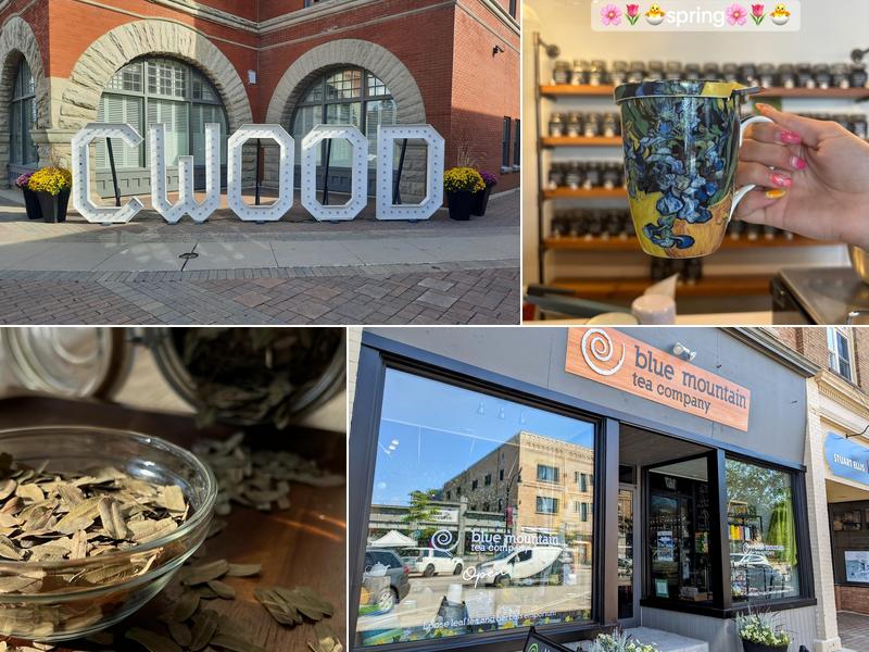 Blue Mountain Tea Company 167 Hurontario St, Collingwood