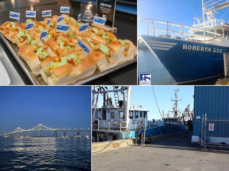 Sea Watch International Ltd