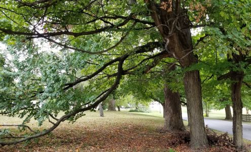 Pinnacle Heart Specialist