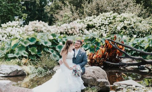 Paradise Park Weddings