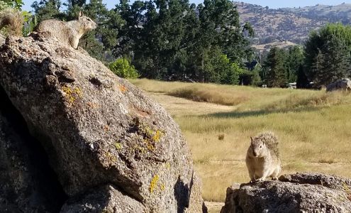 Stallion Springs Resort