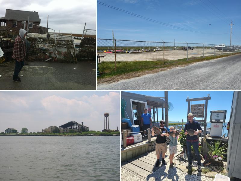 Captain Mike's Marina