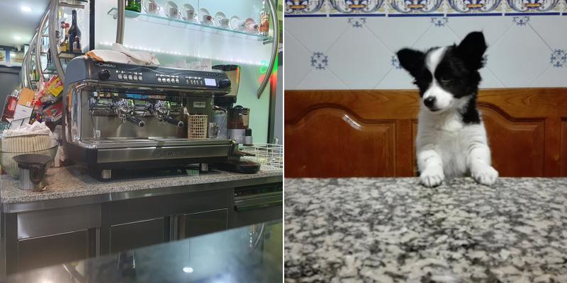 Cafe Montebar Av. da Liberdade 554