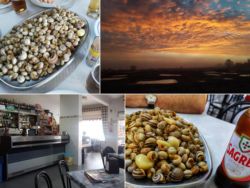 Zona + R. Minas da Borralha 2D