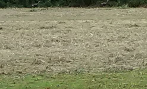 Solomons Builders Inc.