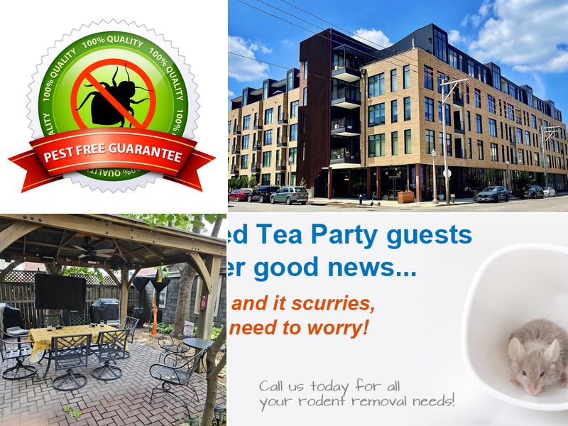 Gladiator Pest Control