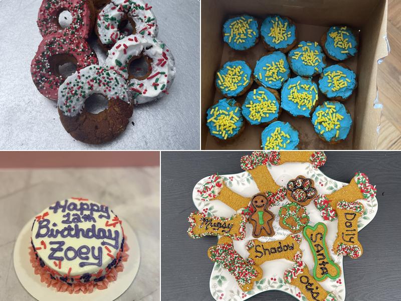 Curly Tail Cakes | Dog Bakery