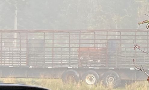 Weicht's Custom Slaughter Inc