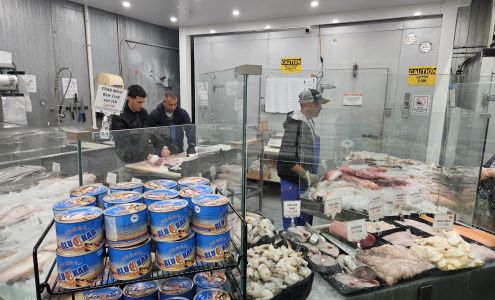 OPEN SEA - Homestead Seafood Market