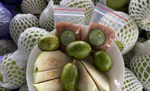 vuon trai cay Florida TAM NGUYEN Farm