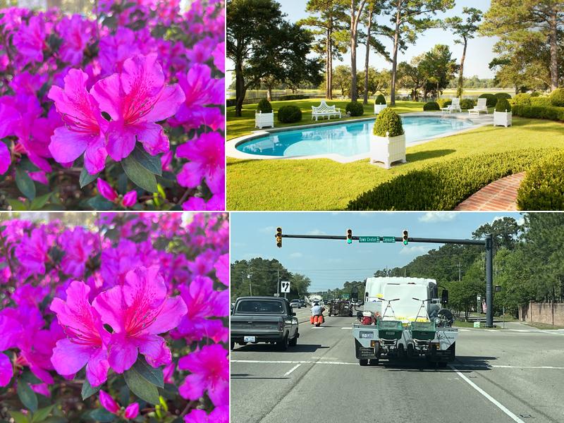 Wrightsville Beach Landscaping