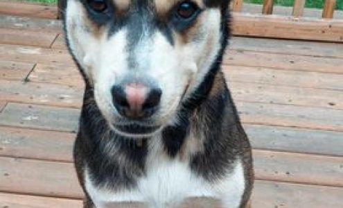 Buckhorn Welcome Centre Buckhorn