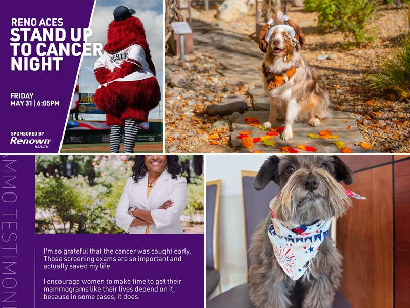 Renown Regional Medical Center: Allgood Mark R MD