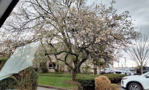 Christian Science Church