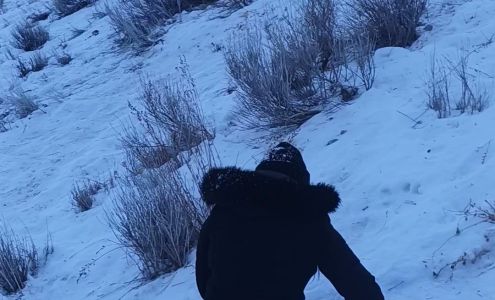 Mountain Side Chiropractic