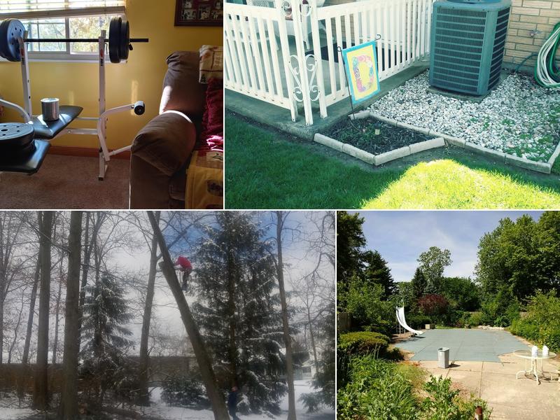 Before & After Tree and Construction Company