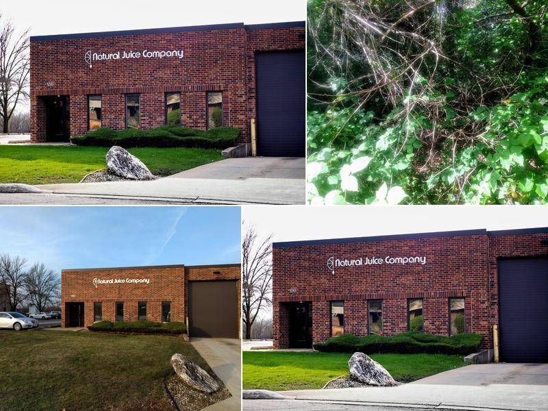 Natural Distribution 550 Clayton Ct, Wood Dale