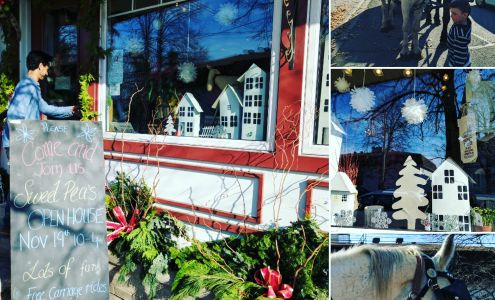 Sweet Pea's Fresh Flowers Ltd