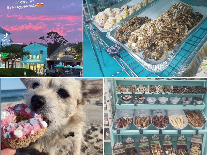 Salty Paws Doggy Ice Cream Bar And Bakery