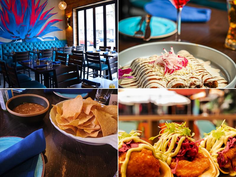 Agave Maria 170 Washington Ave, Belleville