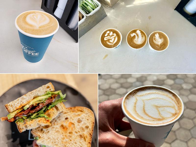 Bird Rock Coffee Roasters 9500 Gilman Dr, La Jolla