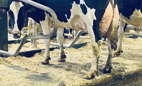 Ferme Drolet & fils Saint-raymond