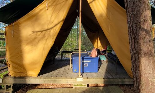 Wind In the Pines Girl Scout Day Camp Manomet
