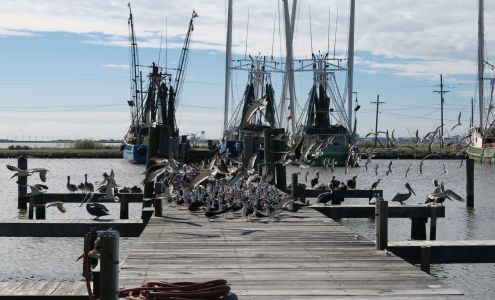 Port Fourchon Marina Motel Golden Meadow