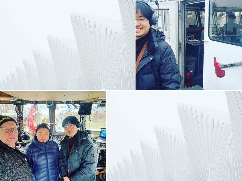 D-Squared Consulting