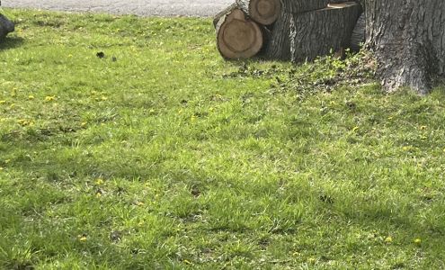 Yardbirds Greenhouses LLC 1110 N Sturgeon St, Montgomery City Missouri 63361