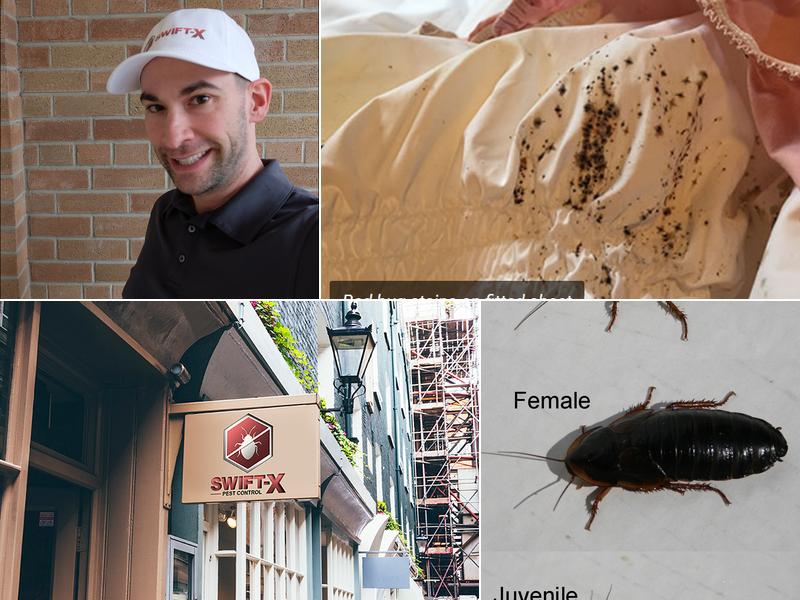 Swift-X Pest Control