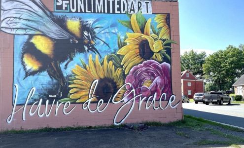 TDK Chimney Inspection & Chimney Repair Services, MD 200 Man O'War Pl, Havre De Grace Maryland 21078