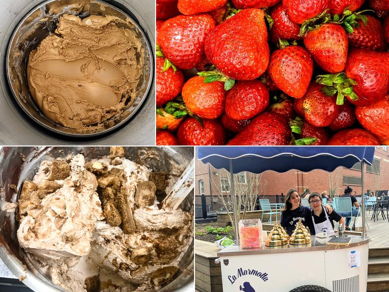 La Marmotta Gelateria Factory