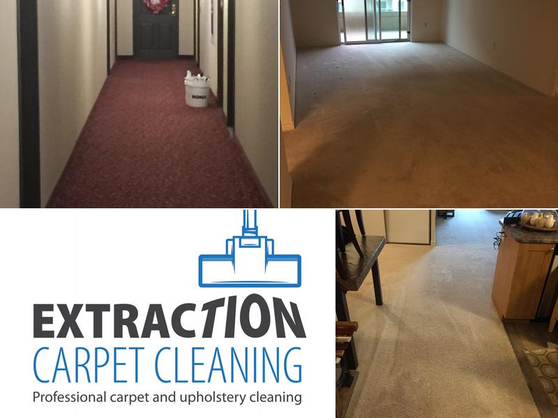 Extraction Carpet Cleaning