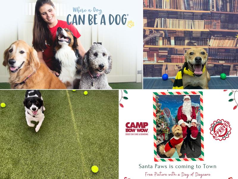 Camp Bow Wow East Peoria