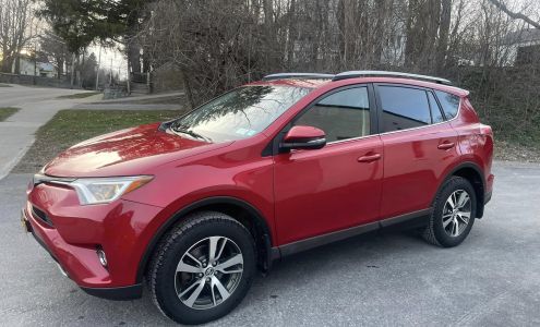 BellaClean Full Service Professional Detailing