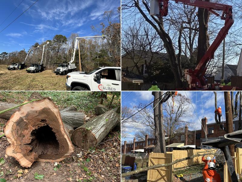 Caliber Tree Services