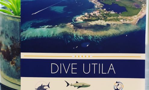 Newport Print Services