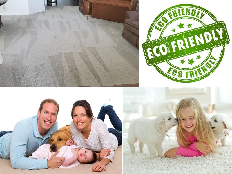 The One Minute Dry Time Green Carpet Cleaning