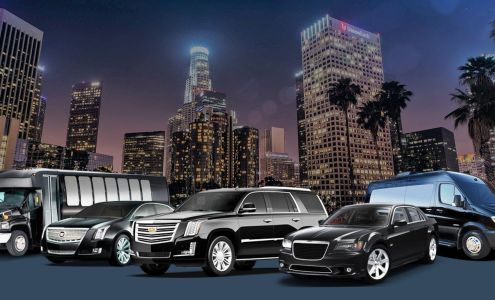 VIP CITY RIDES INC